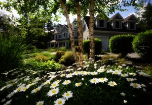 home with flowers, trees, and shrubs