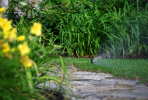 residential irrigation system watering lawn and garden