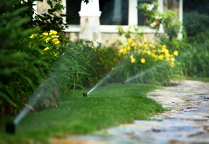 sprinklers next to walkway