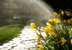 sprinkler system watering flowers