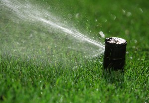 closeup of active sprinkler