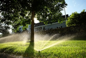 sprinkler watering residential lawn