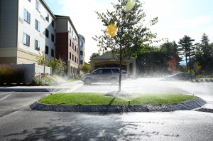 sprinklers watering parking lot medians