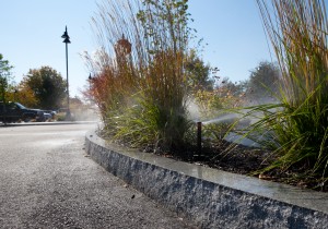 curb with sprinklers and grasses