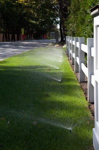 row of sprinklers watering lawn