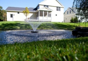 pond with fountain