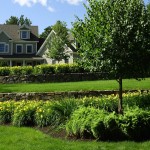 home with gardens and trees