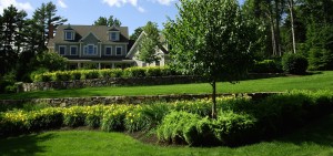 home with gardens and trees