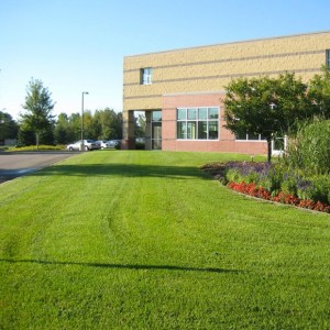 commercial building with lawn and garden