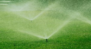 active sprinklers in field