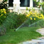 sprinklers watering walkway and garden