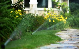 sprinklers watering walkway and garden