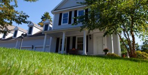 grass in front of home