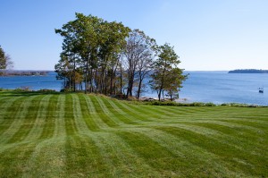 mowed ocean-side lawn