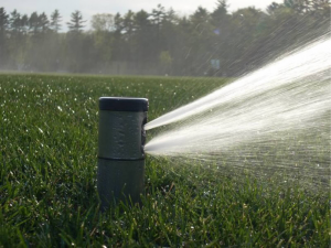 sprinkler head spraying water onto field