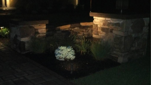 garden lit by landscape lighting