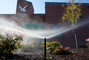 sprinkler watering garden in front of commercial building