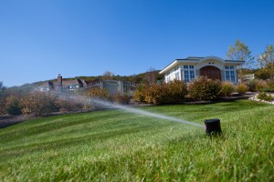 sprinkler watering lawn