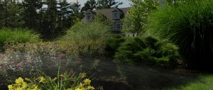 sprinkler watering garden with flowers and shrubs