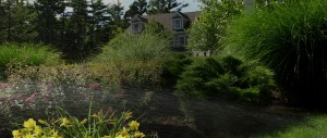 sprinkler watering garden with flowers and shrubs