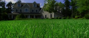 close up of green lawn with home in the background