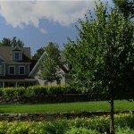 home with stone walls, manicured lawn, and trees