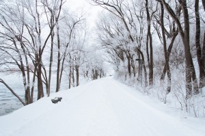 winter road covered with snow