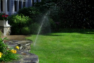 patio sprinkler watering lawn