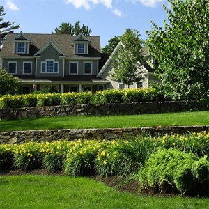 Irrigation, thirsty turf, yard, flowers, grass