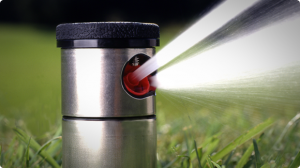 Sprinkler head with metallic finish