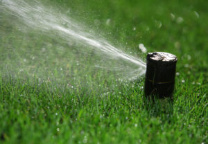 close up of active sprinkler and lawn